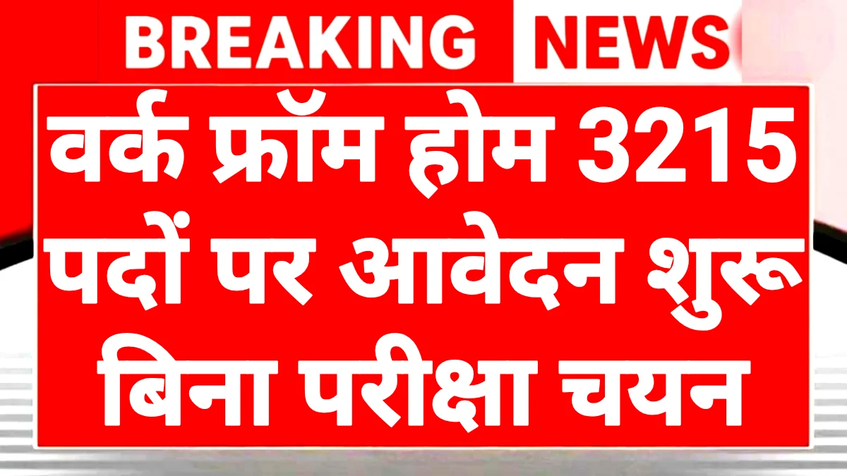 Mukhyamantri Work From Home Yojana 2026